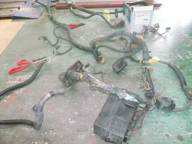 ファイル 1842-1.jpg