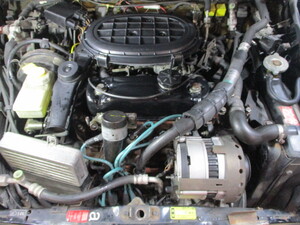 11wsw11.JPG